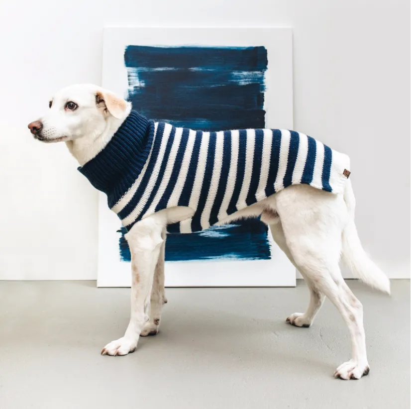 Dog Jumpers - Cloud7 Helsinki Knitted Jumper in Navy/Cream