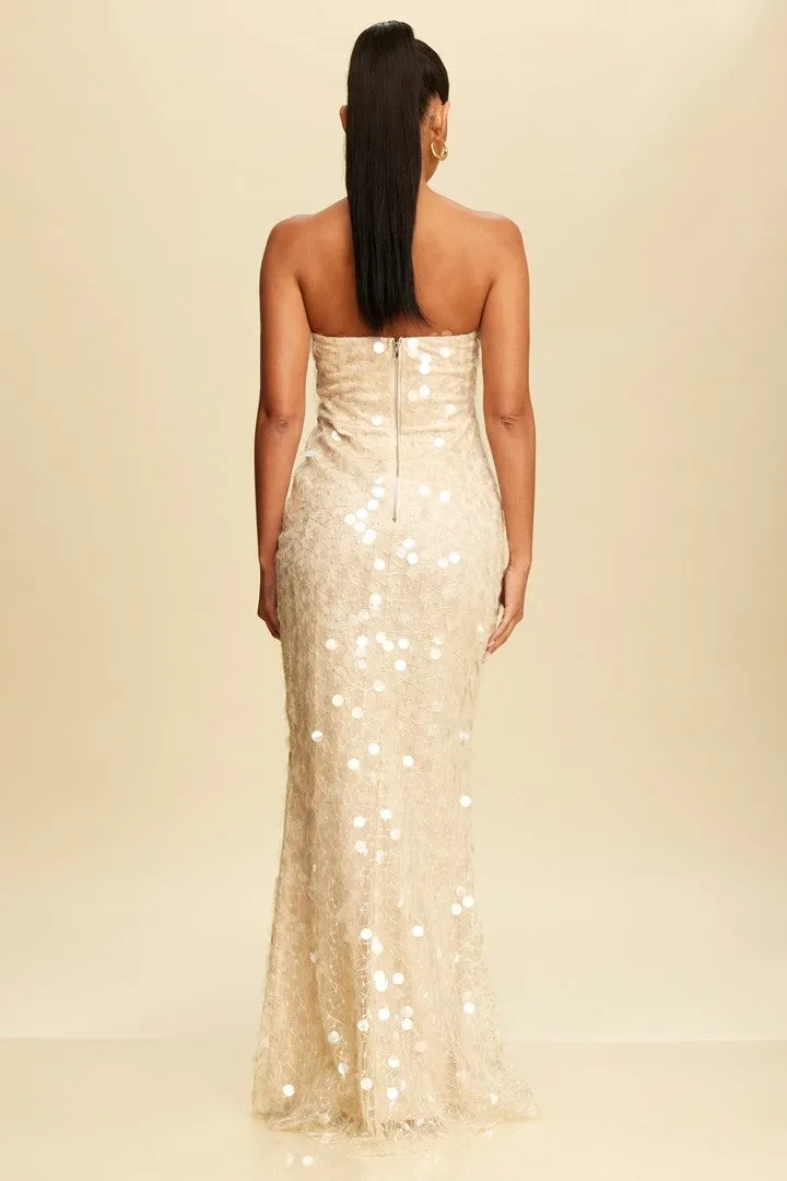 Journey Strapless Sheer Sequin Maxi Dress