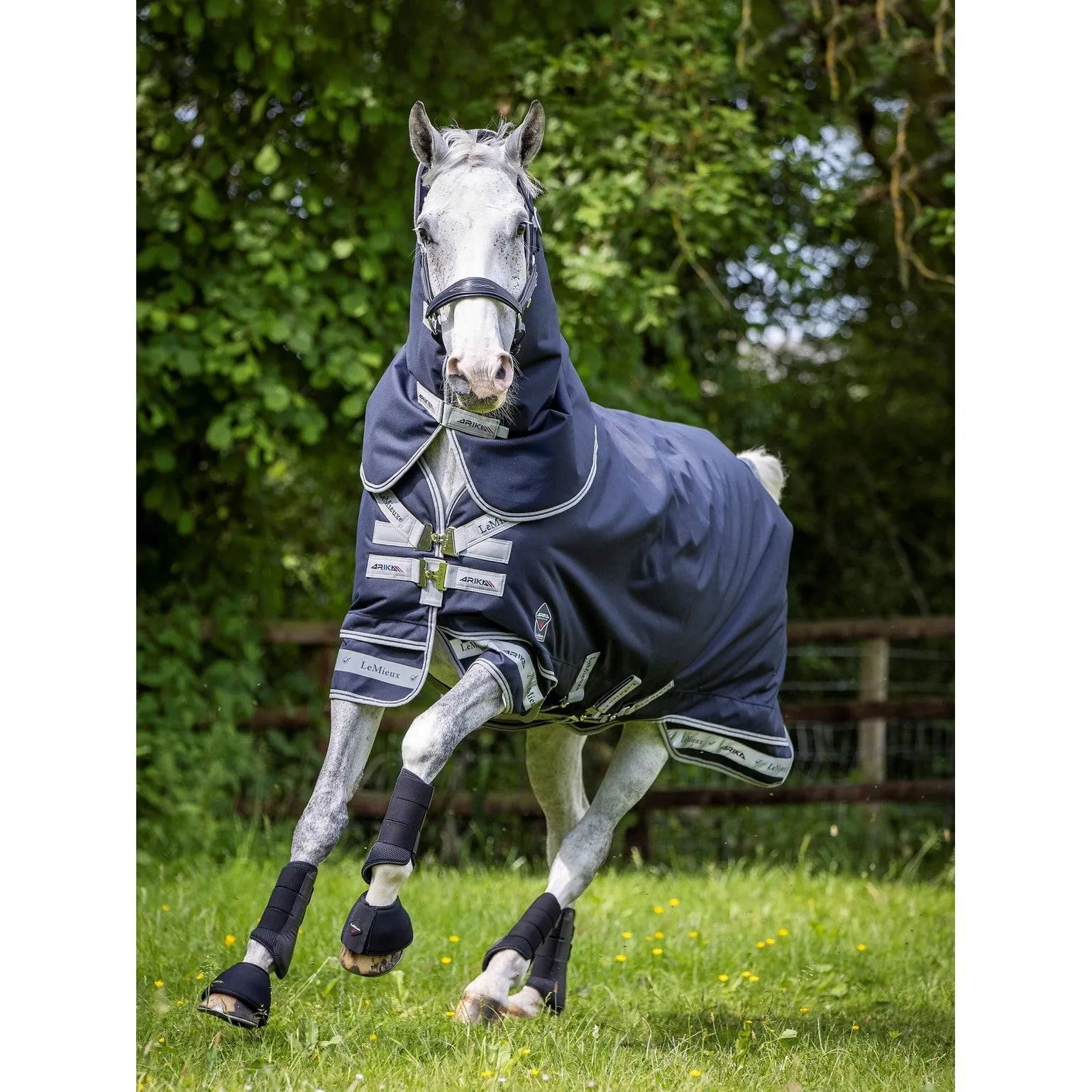 LeMieux Arika Storm-Tek Rug with Detachable Neck 200g