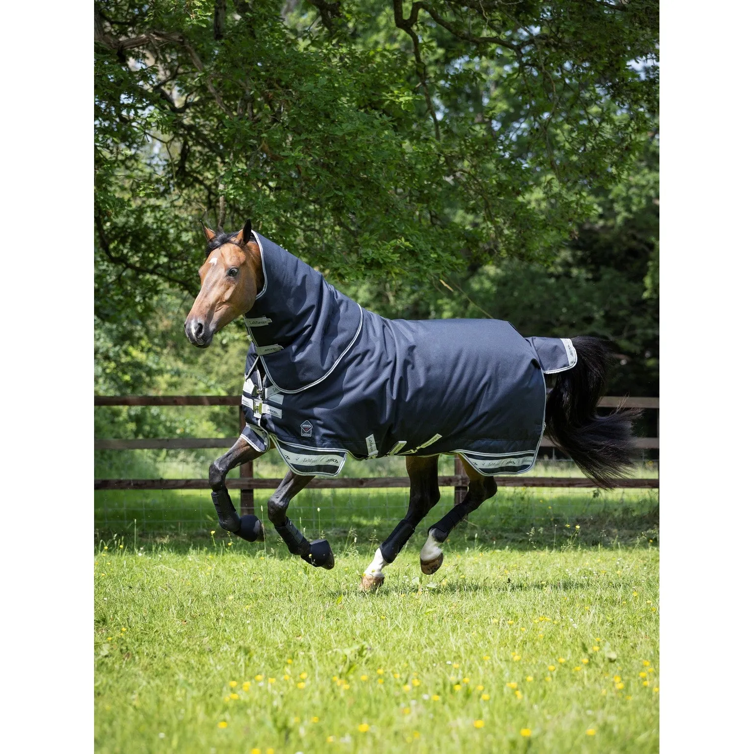 LeMieux Arika Storm-Tek Rug with Detachable Neck 200g