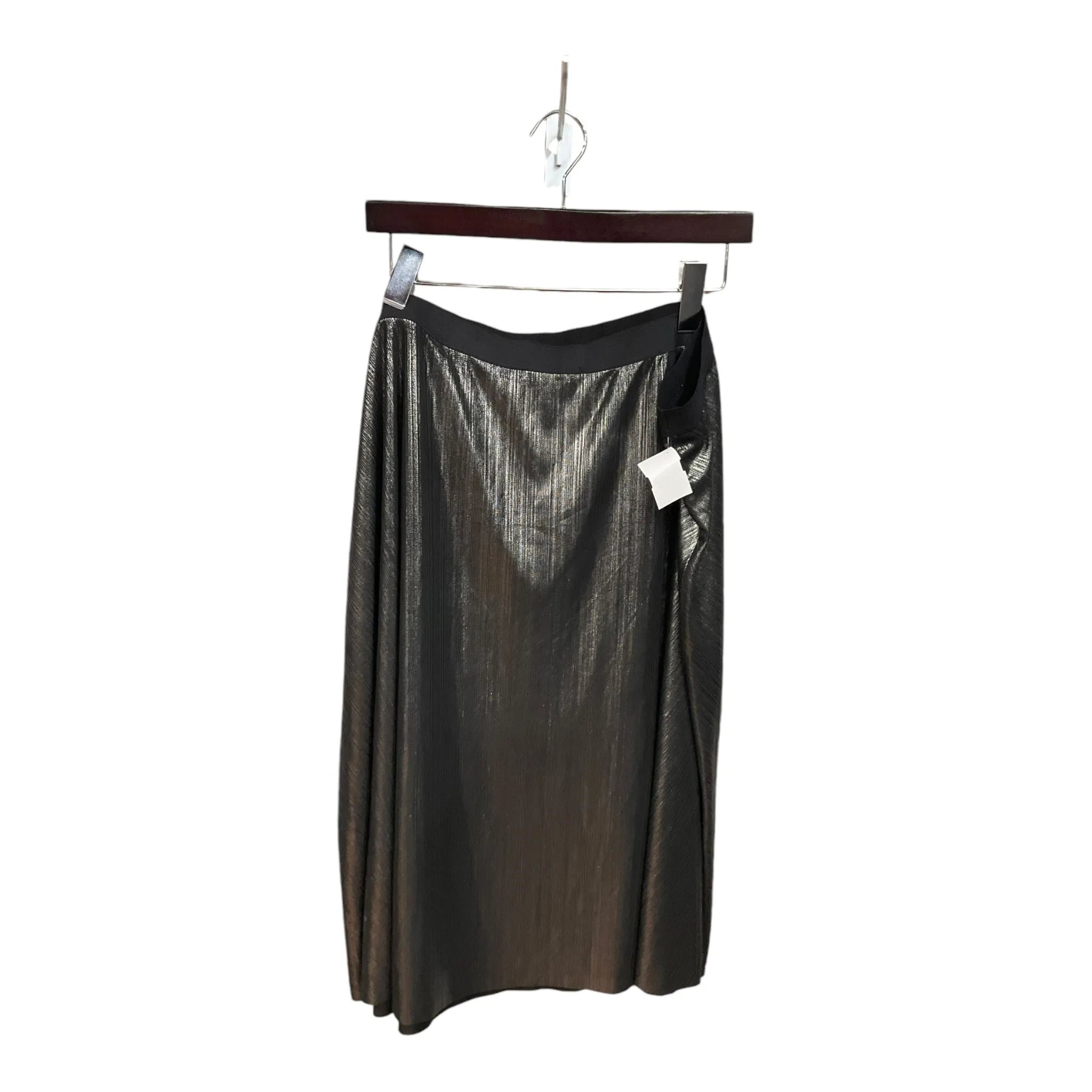 Skirt Midi By Boutique   In Silver, Size: 3x