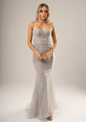 Sparkling silverbustier mermaid dress for hire